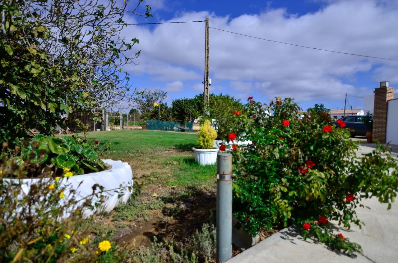 Casa Manoli Villa Conil De La Frontera Bagian luar foto