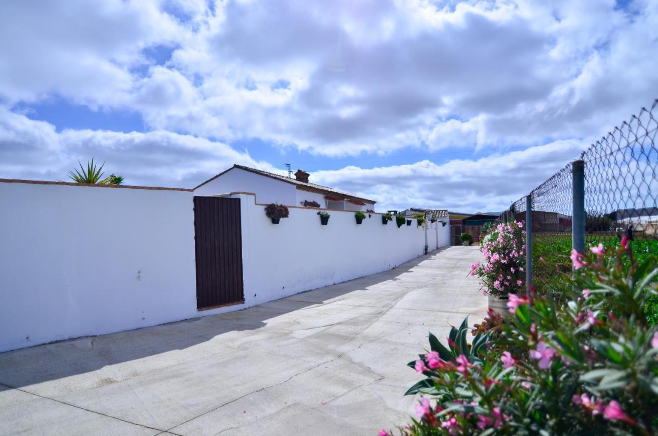 Casa Manoli Villa Conil De La Frontera Bagian luar foto